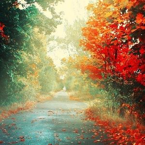 Meet your Posher, Marisa